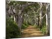 Premium Photographic Print
