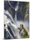 Photographic Print