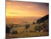 Premium Photographic Print