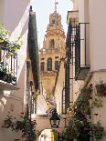 Vieste, Promoontorio Del Gargano, Puglia, Italy-Peter Adams-Photographic Print