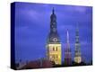 Stretched Canvas Print