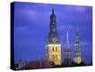 Stretched Canvas Print