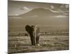 Premium Photographic Print
