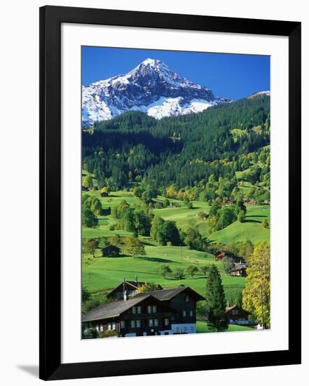 Photographic Print, , large