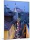 Photographic Print
