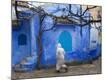 Premium Photographic Print