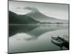 Photographic Print