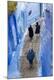 Premium Photographic Print