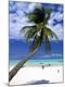 Premium Photographic Print
