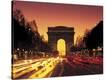 Stretched Canvas Print