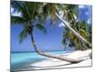 Premium Photographic Print