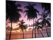 Premium Photographic Print