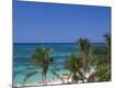Premium Photographic Print