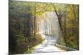 Photographic Print