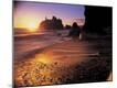 Photographic Print