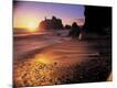 Photographic Print