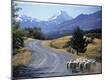 Premium Photographic Print