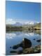 Photographic Print