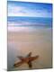 Premium Photographic Print