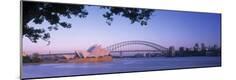 Premium Photographic Print