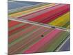 Premium Photographic Print