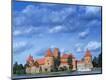 Photographic Print