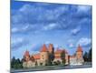 Photographic Print
