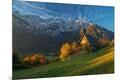 Giclee Print