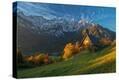 Stretched Canvas Print
