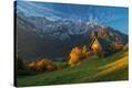 Stretched Canvas Print