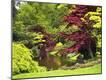 Premium Photographic Print