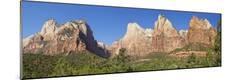 Photographic Print