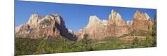 Photographic Print