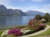 Gardens of Villa Melzi, Bellagio, Lake Como, Lombardy, Italian Lakes, Italy, Europe-Peter Barritt-Photographic Print