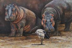 Safari IV-Peter Blackwell-Premium Giclee Print