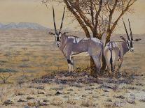 Oryx-Peter Blackwell-Art Print