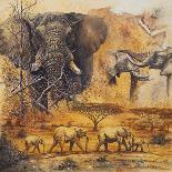 Safari I-Peter Blackwell-Art Print