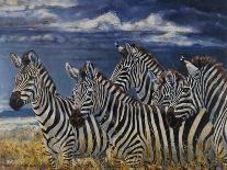 Zebras II-Peter Blackwell-Art Print