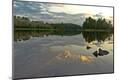 Photographic Print