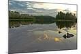 Photographic Print