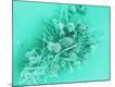 Premium Photographic Print