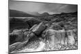 Photographic Print
