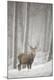 Premium Photographic Print