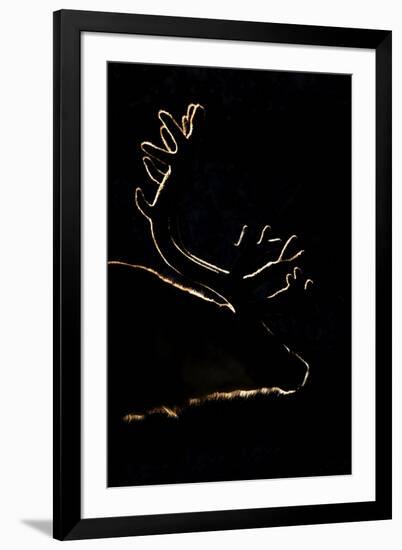 Photographic Print, , large