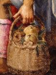 Basket of Fruit, Detail from Adoration of Shepherds-Peter Candid-Mounted Giclee Print