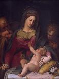 Basket of Fruit, Detail from Adoration of Shepherds-Peter Candid-Framed Giclee Print