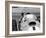 Peter Collins in a Ferrari-null-Framed Photographic Print