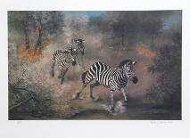 Fire on the Savannah-Peter Darro-Framed Limited Edition