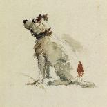 A Terrier, Sitting Facing Left (W/C on Paper)-Peter De Wint-Giclee Print