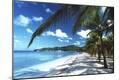 Photographic Print